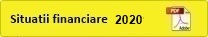 Situatii Financiare 2020